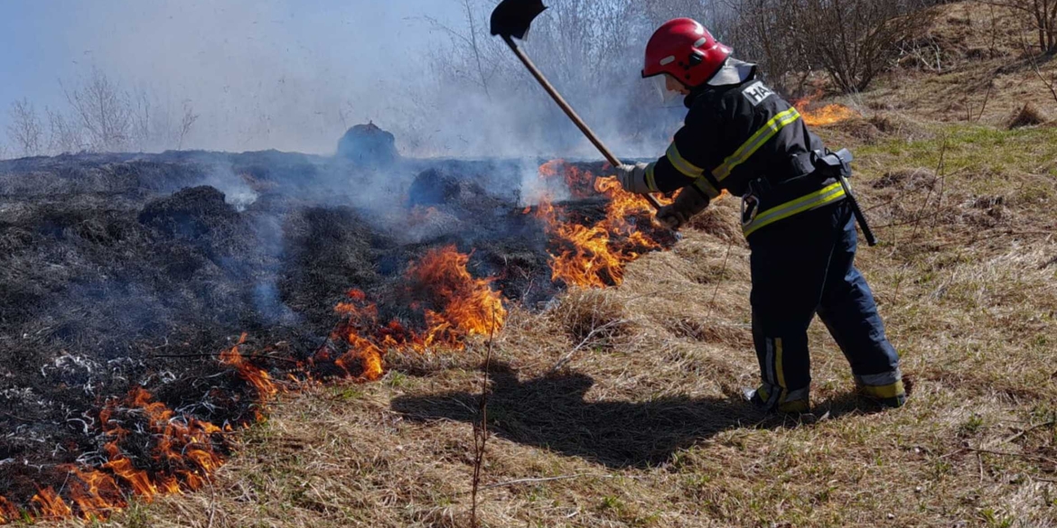 На Вінниччині ліквідували 26 пожеж в природних екосистемах