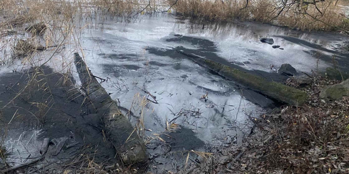 На Вінниччині маслянисті плями забруднили водосховище