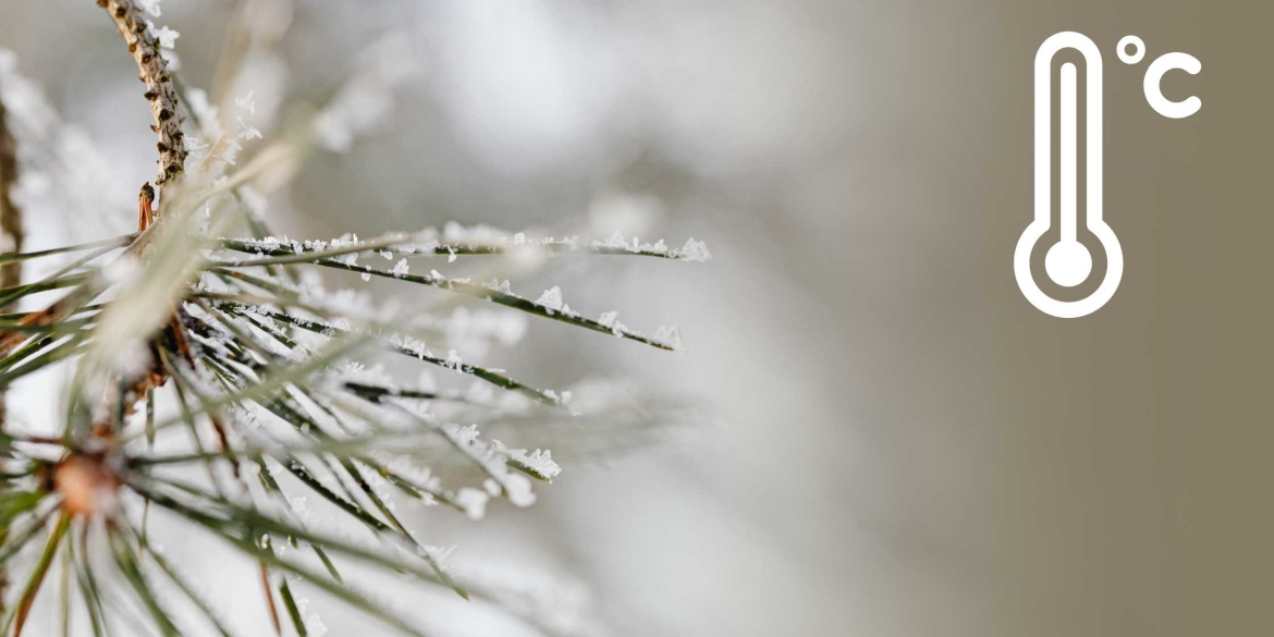 На Вінниччині очікується мокрий сніг та ожеледь – попереджають синоптики