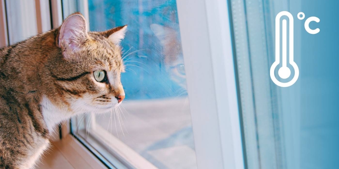 На Вінниччині очікуються потужні пориви вітру та сильне похолодання