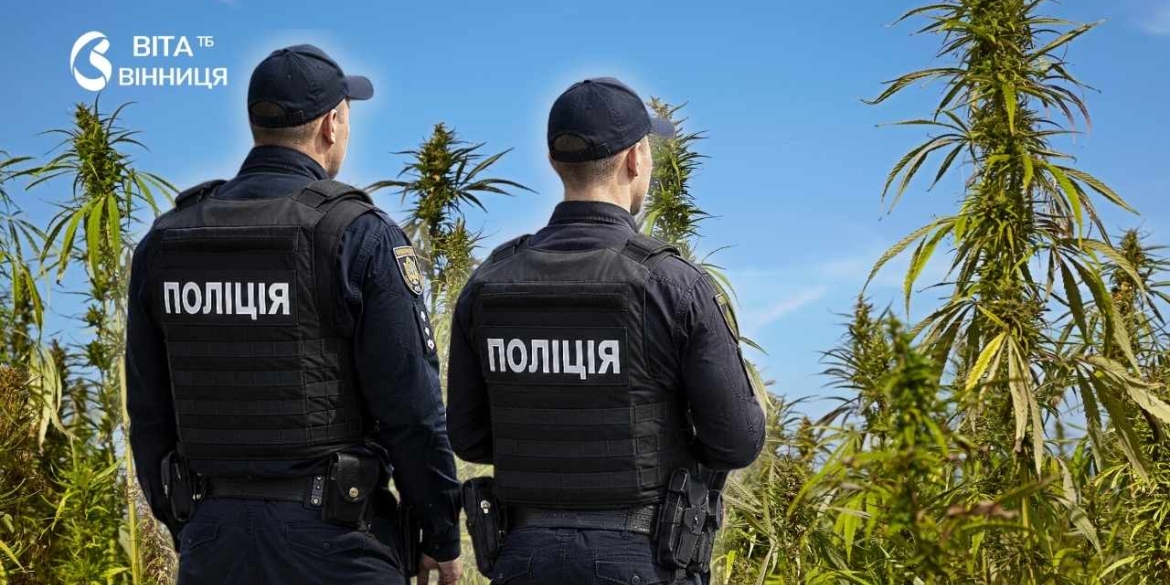 На Вінниччині патрульні відреагували на сигнал про домашнє насильство, і знайшли посіви конопель