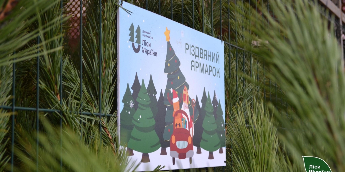 На Вінниччині під час різдвяних ярмарків продали понад сім тисяч хвойних дерев