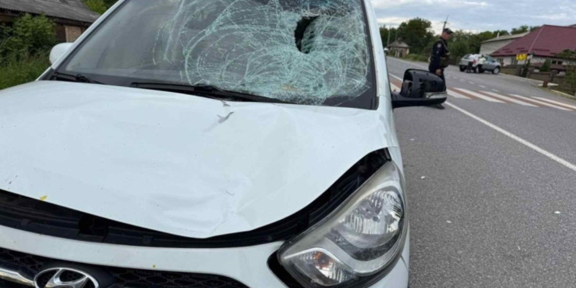На Вінниччині під колеса авто потрапила 61-річна жінка