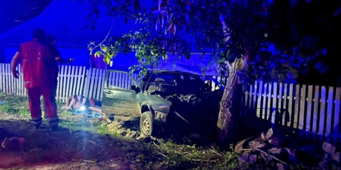 На Вінниччині після зіткнення автомобіля з деревом загинули водій та пасажир Volkswagen