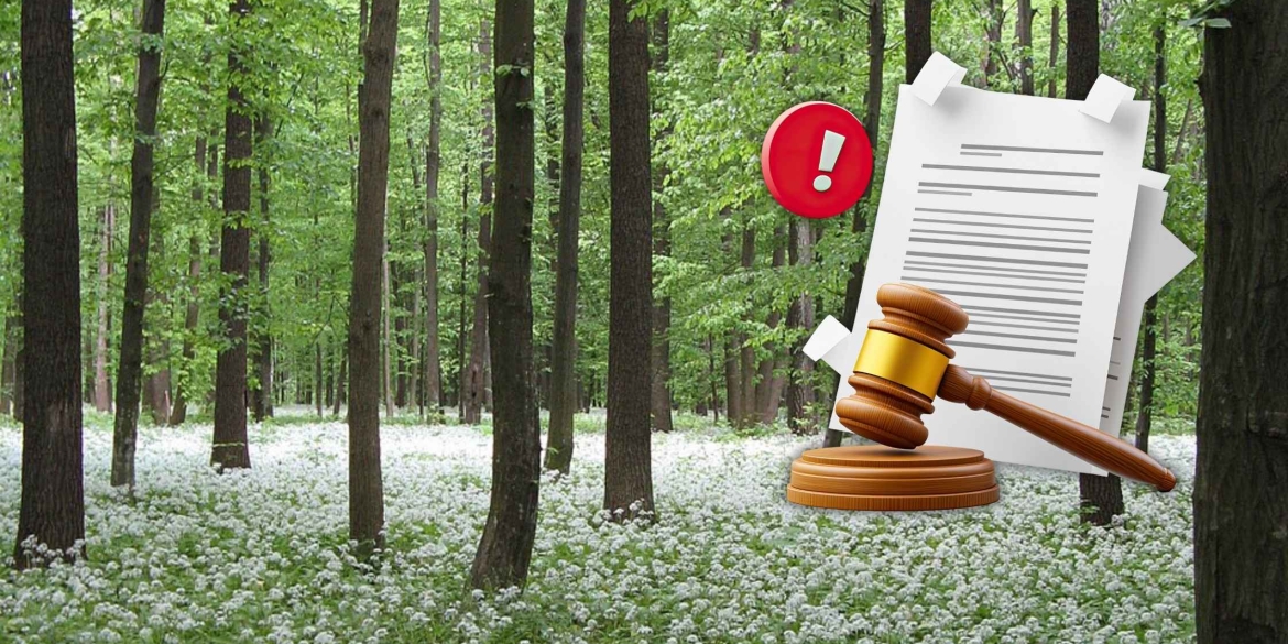 На Вінниччині повертають з незаконного користування заказник «Дашівський»