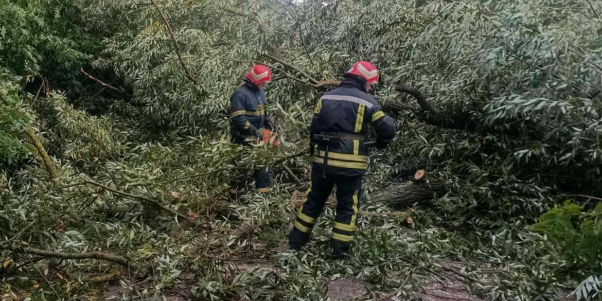 На Вінниччині розчищали дороги від повалених дерев у п'яти громадах