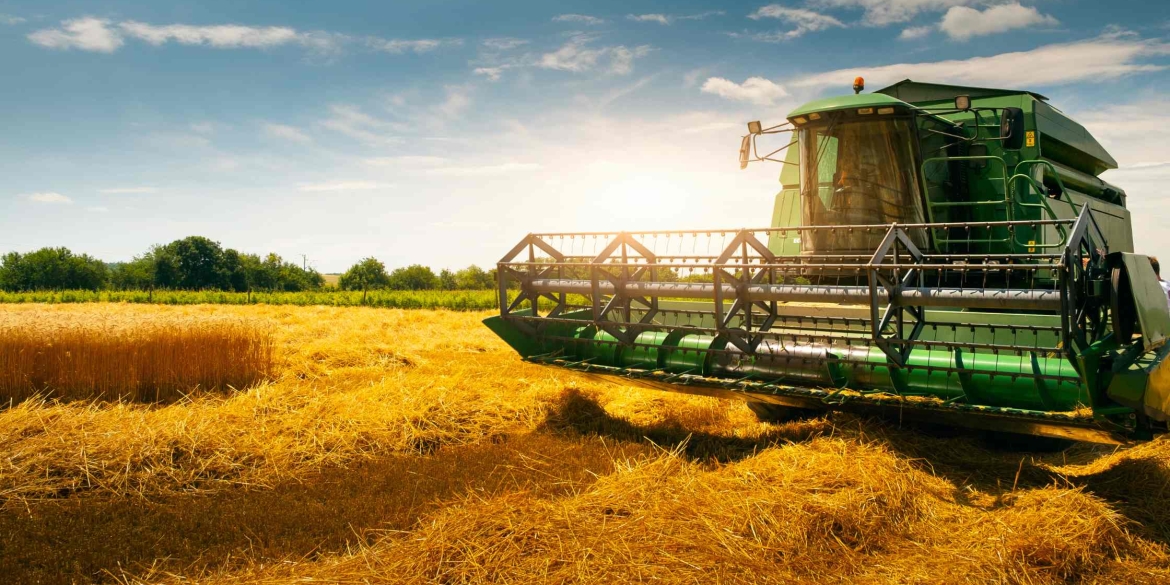 На Вінниччині розпочали збирання зернових культур