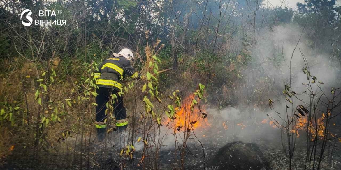 На Вінниччині рятувальники ліквідували 15 пожеж в екосистемах