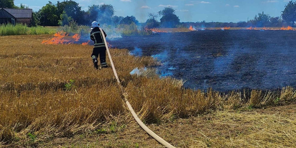 На Вінниччині рятувальники ліквідували шість пожеж на відкритих територіях 