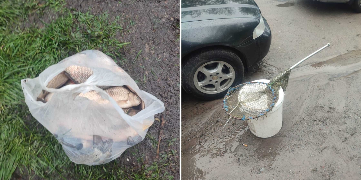На Вінниччині рибалка виловив понад 50 кілограмів риби