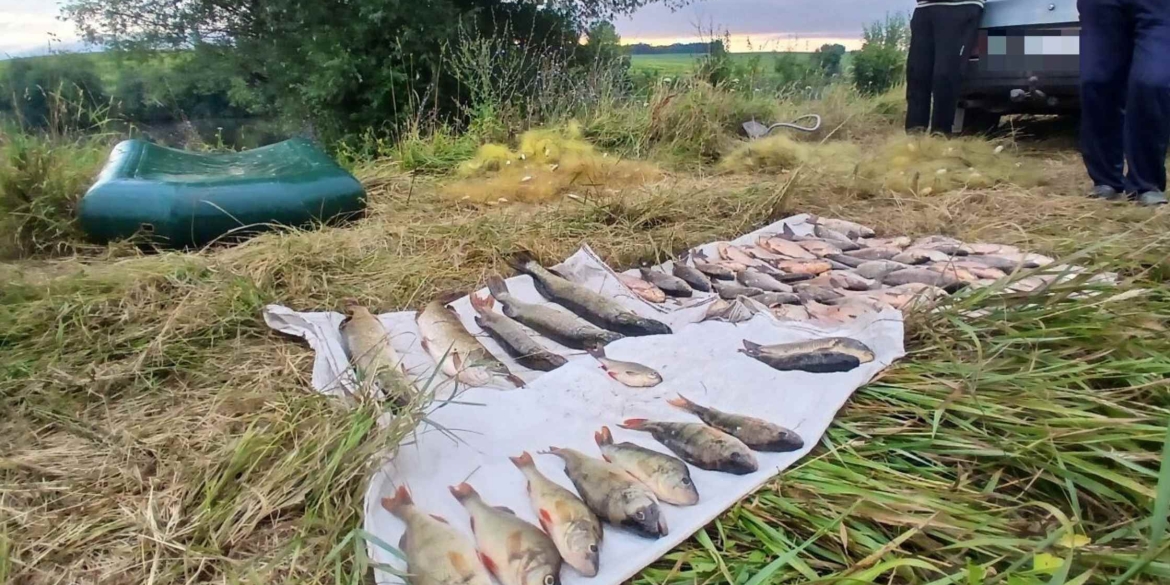 На Вінниччині рибалок-браконьєрів спіймали з чотирма сітками й незаконним уловом