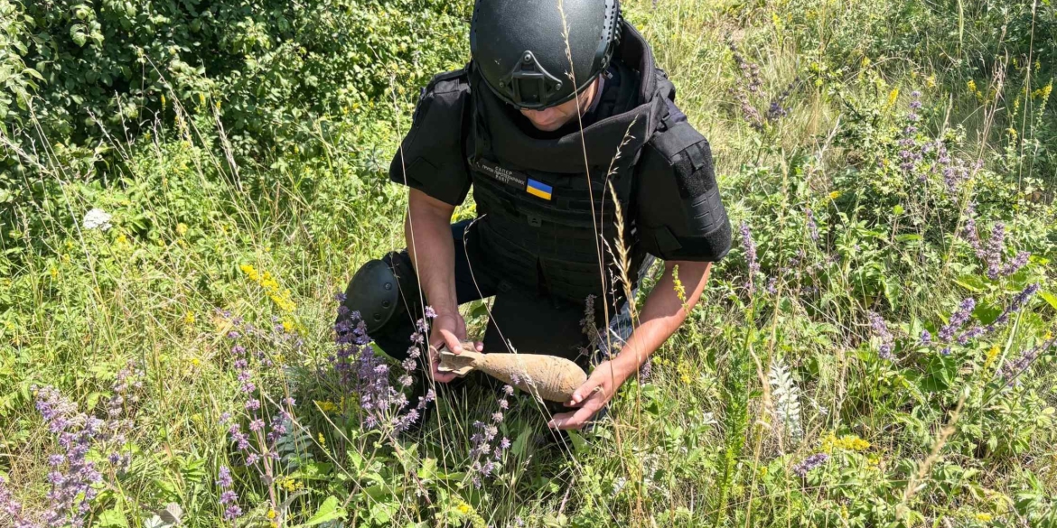 На Вінниччині сапери ДСНС знищили мінометну міну