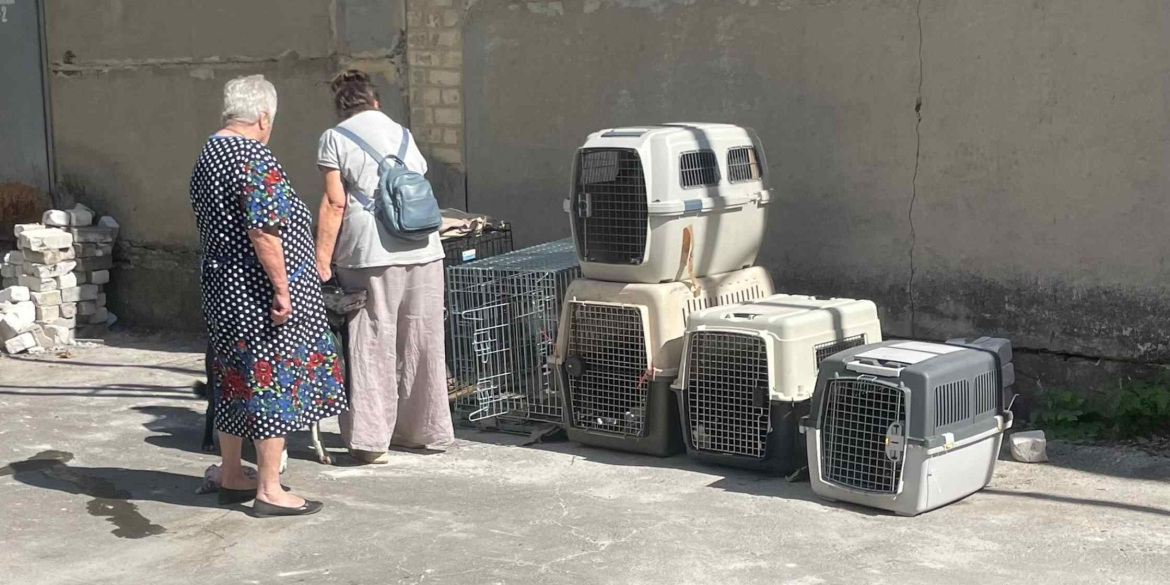 На Вінниччині село конфліктує з переселенцями через 11 собак та 34 котів