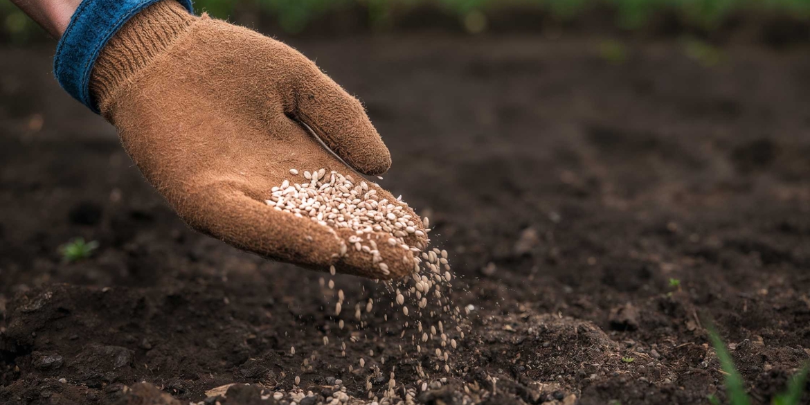 На Вінниччині триває посівна засіяно вже 12% площ
