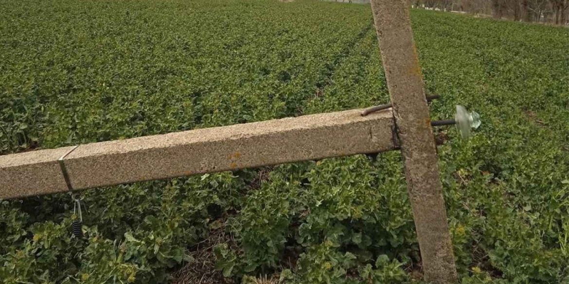 На Вінниччині відновлюють сотні електропідстанцій після нищівного шквалу