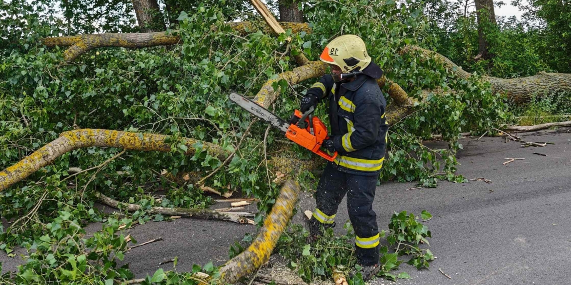 На Вінниччині вітер вночі валив дерева на дороги