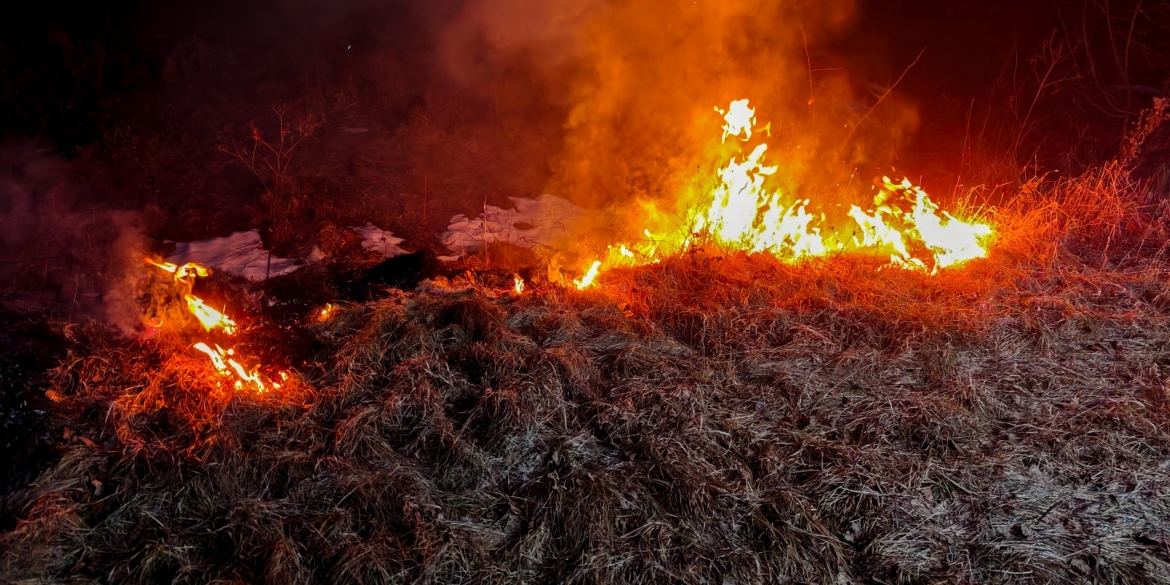 На Вінниччині вогонь обпалив понад два гектари землі
