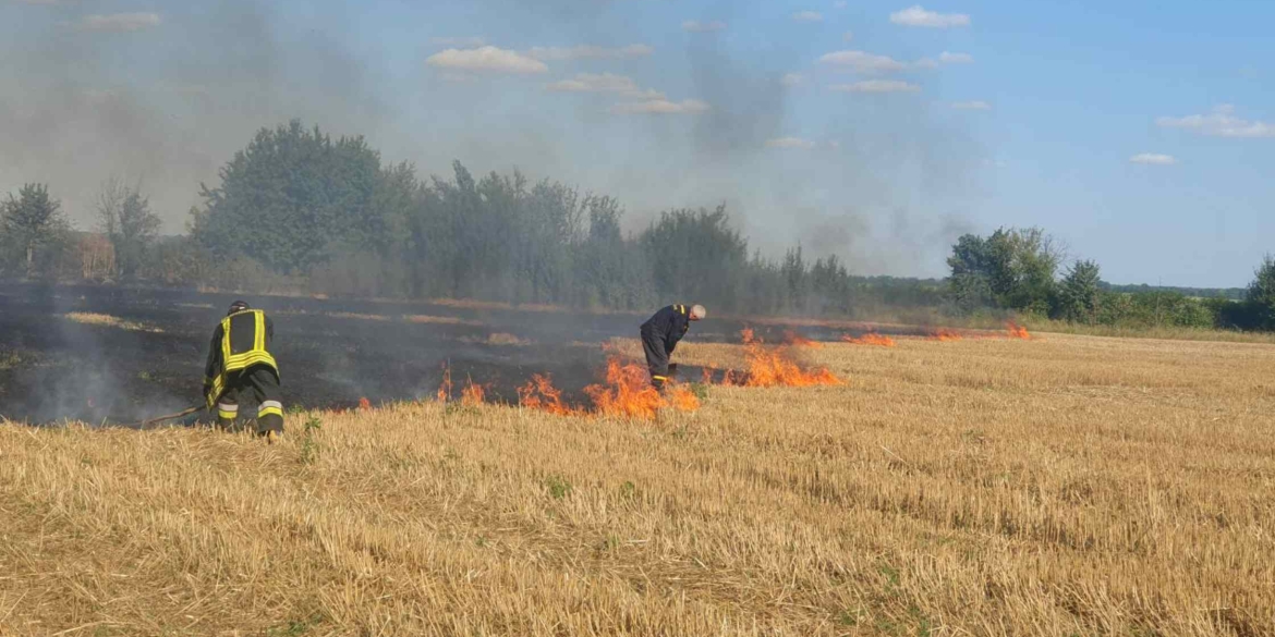 На Вінниччині вигоріли десятки гектарів сільськогосподарських угідь