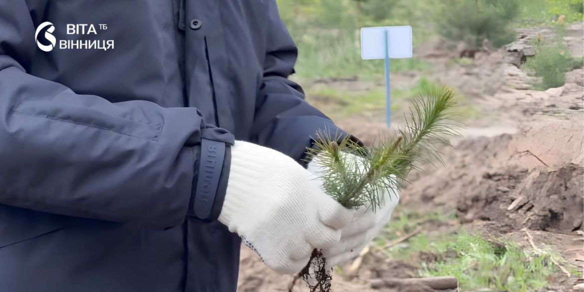 На Вінниччині висадили понад 2,5 мільйони нових дерев за весняний сезон