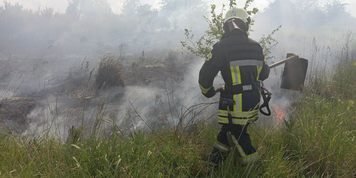 На Вінниччині за добу сталося дев'ять пожеж в екосистемах