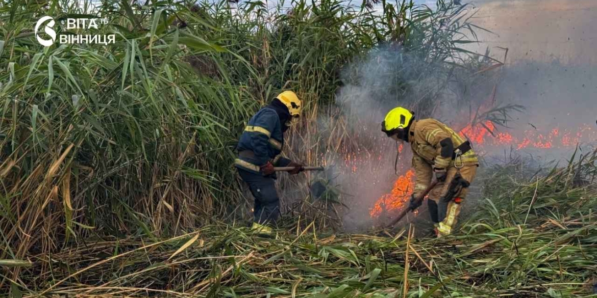 На Вінниччині за добу вигоріло понад два гектари землі