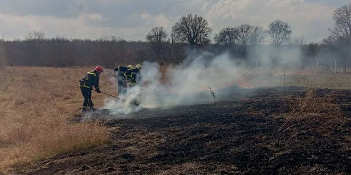 На Вінниччині за добу вигоріли одинадцять гектарів землі