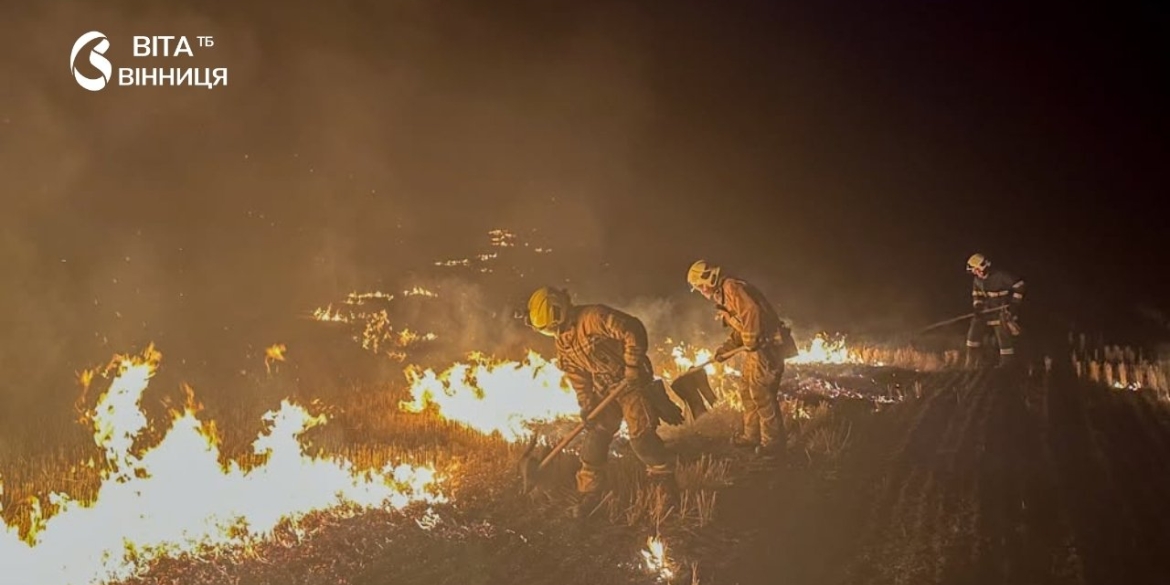 На Вінниччині за добу зафіксували 9 пожеж на відкритих територіях
