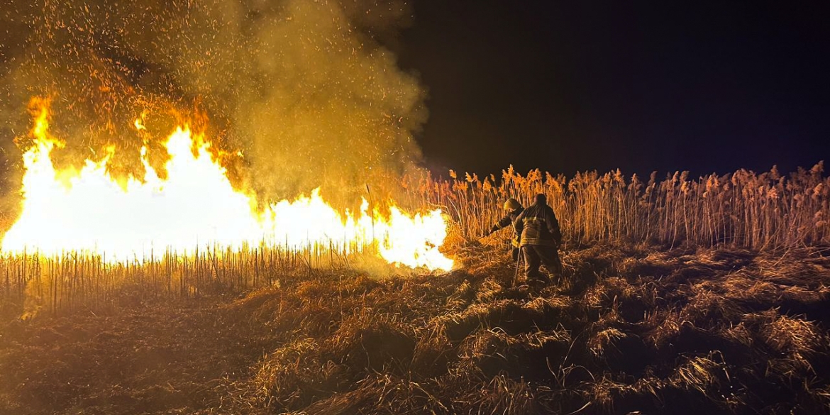 На Вінниччині за один день сталось пів сотні пожеж в екосистемах