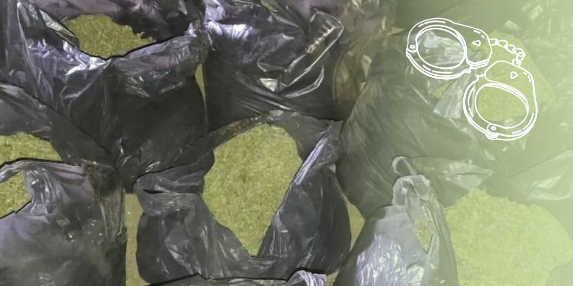 На Вінниччині засудили чоловіка, який зберігав 47 кг канабісу вдома
