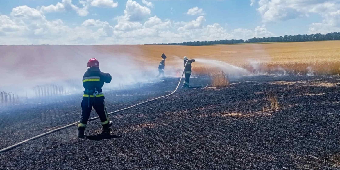 На Вінниччині згоріло два гектари пшеничного поля