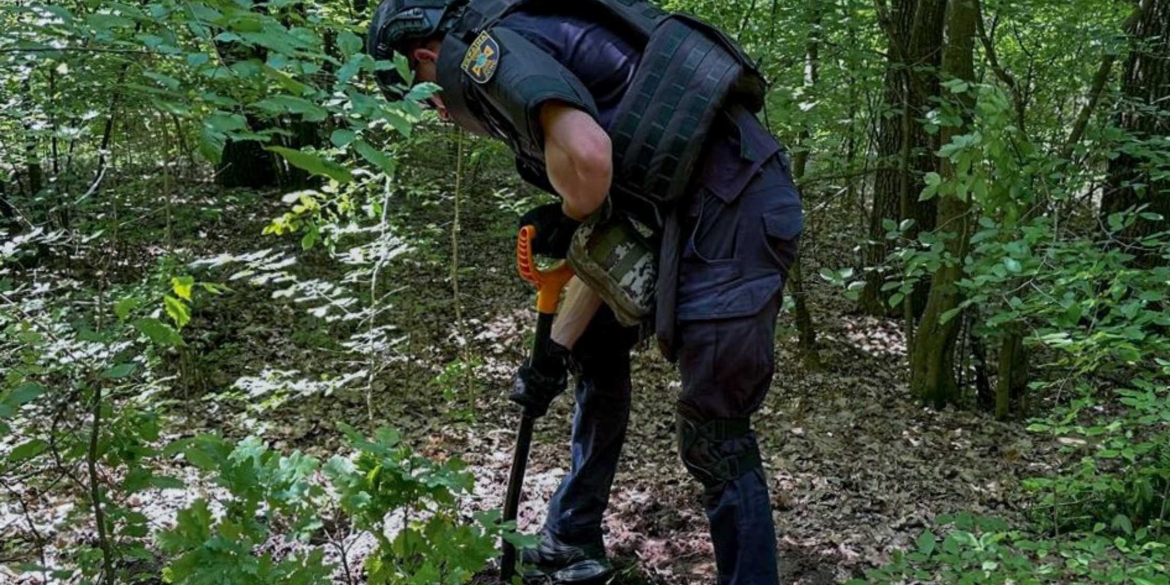 На Вінниччині знайшли та знищили мінометну міну часів Другої світової