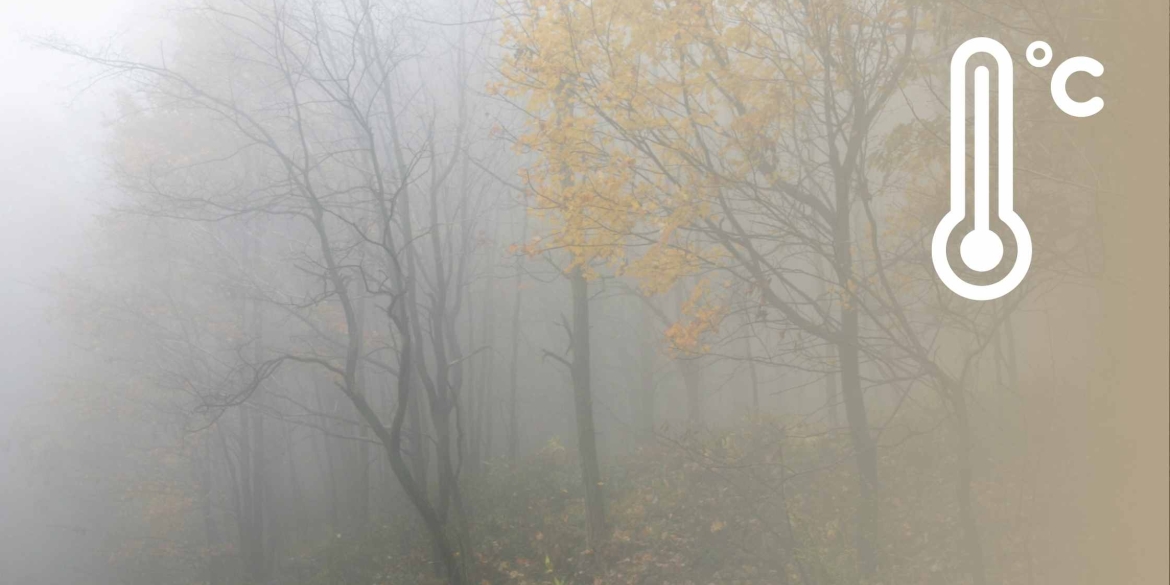 На Вінниччину 13 листопада знову опуститься густий туман