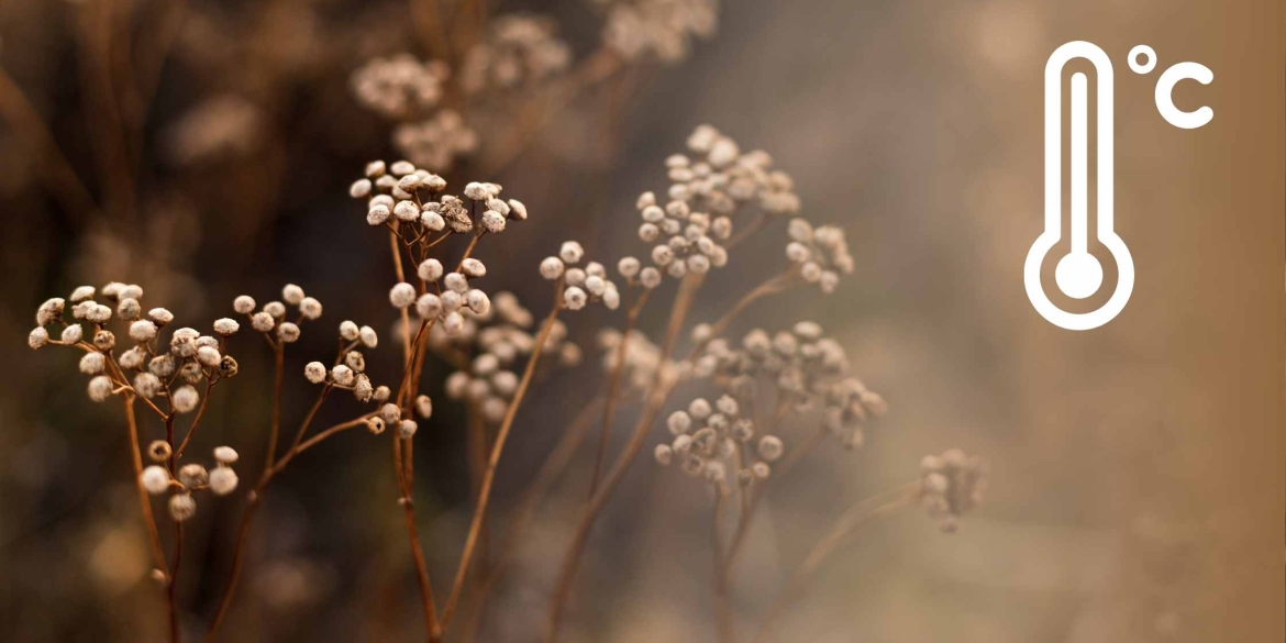 На Вінницю 15 листопада насувається чергова хвиля похолодання