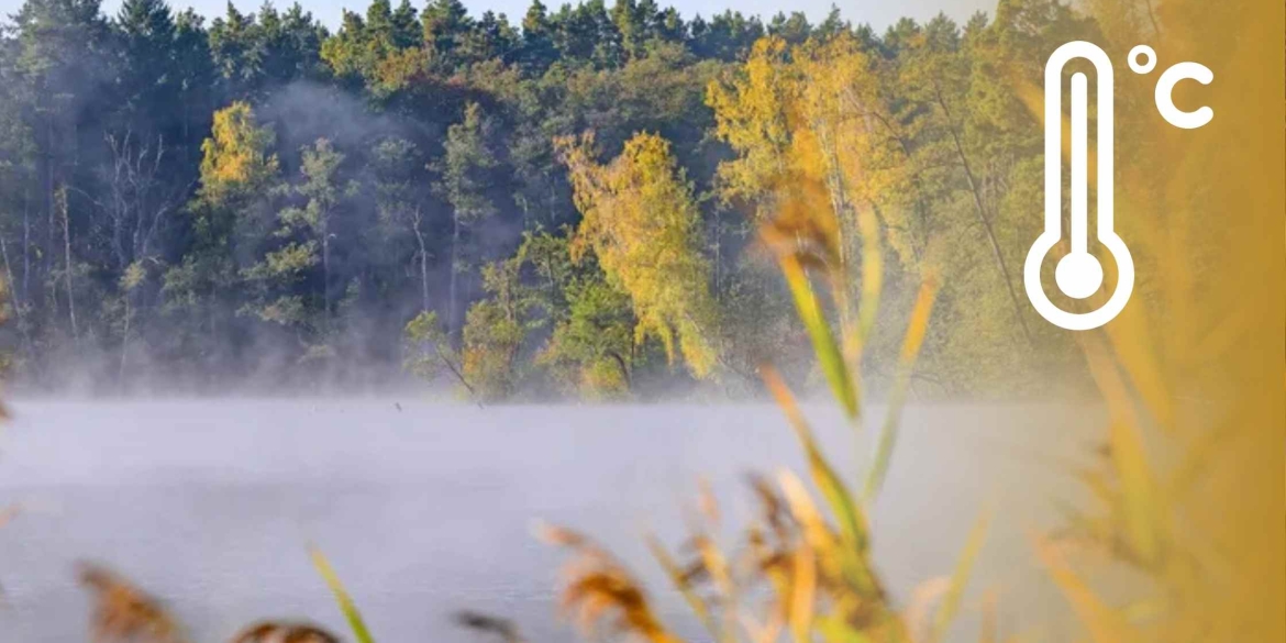 На Вінницю вночі та вранці 7 листопада насуваються тумани - попереджають синоптики 