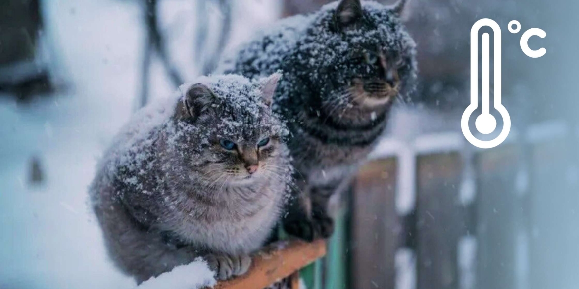 На Вінницю вже насувається новий морозний антициклон — коли чекати похолодання