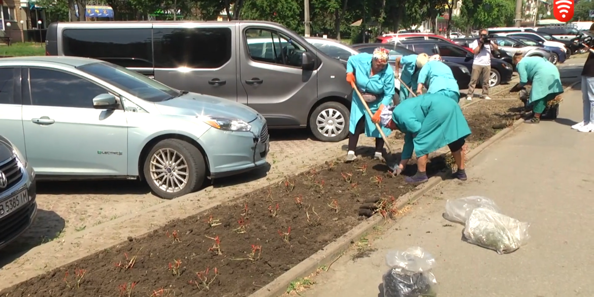 На вулиці Київській висадили півтори тисячі кущів троянд, які вінничани отримали за донати