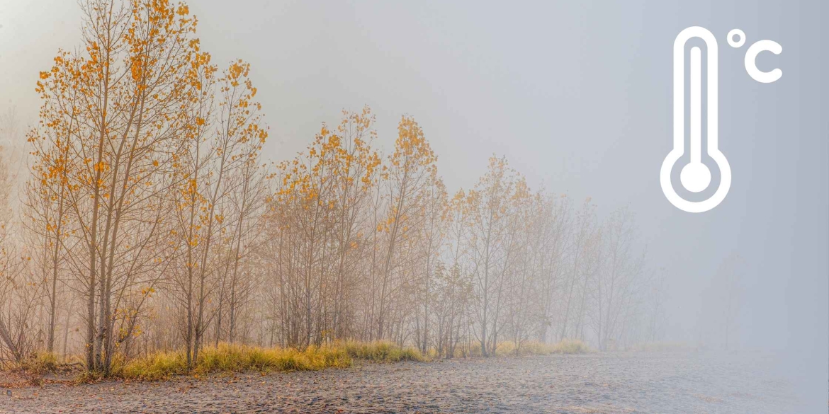 На вихідні у Вінниці синоптики обіцяють тумани - будьте обережні на дорозі 