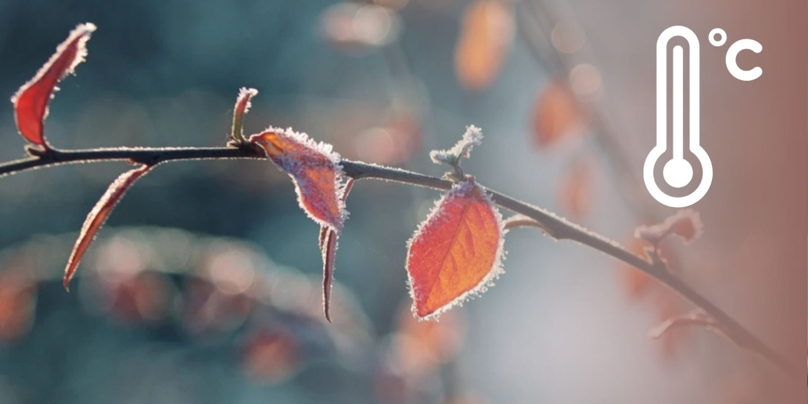 Наближається серйозне похолодання що радять вінничанам синоптики у найближчі дні