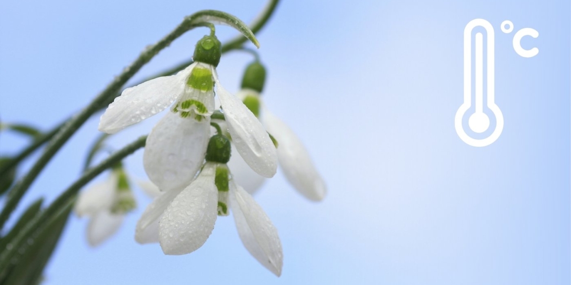 Напередодні вихідних Вінницьку область прогріє до +18 градусів