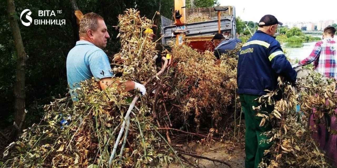 Назбирали три машини гілля у Вінниці влаштували другу толоку на набережній Південного Бугу