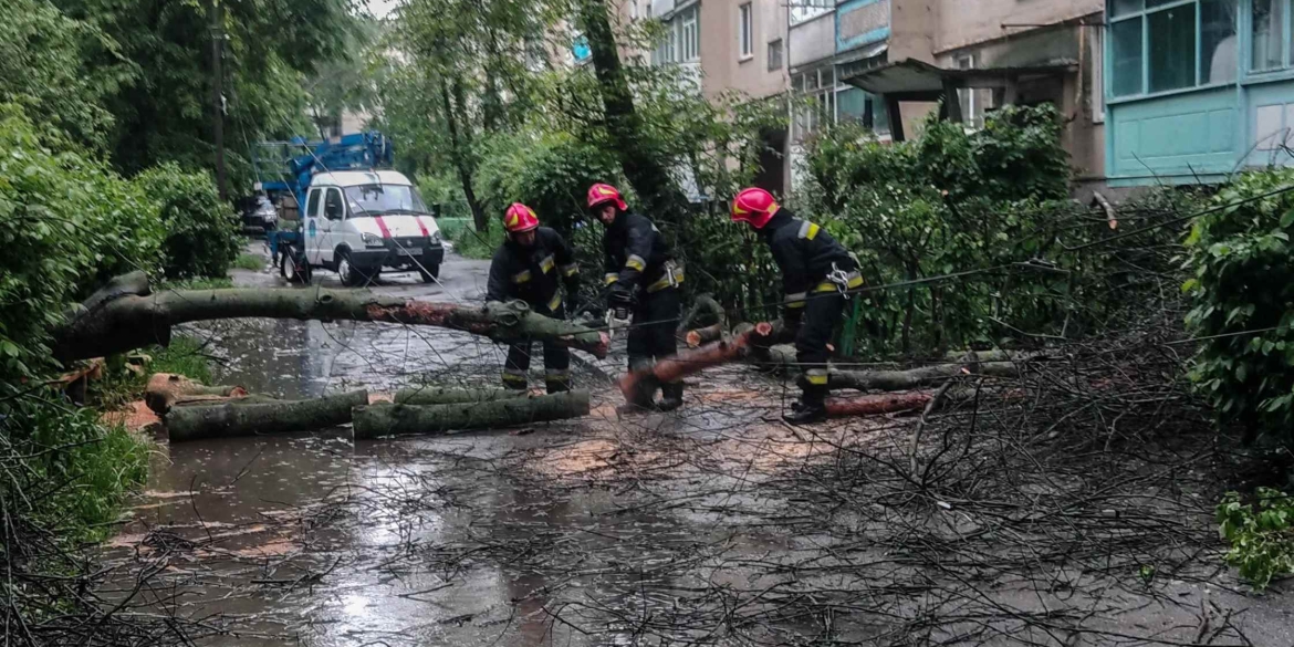 Негода валила дерева на вулицях Вінниці та дорогах області