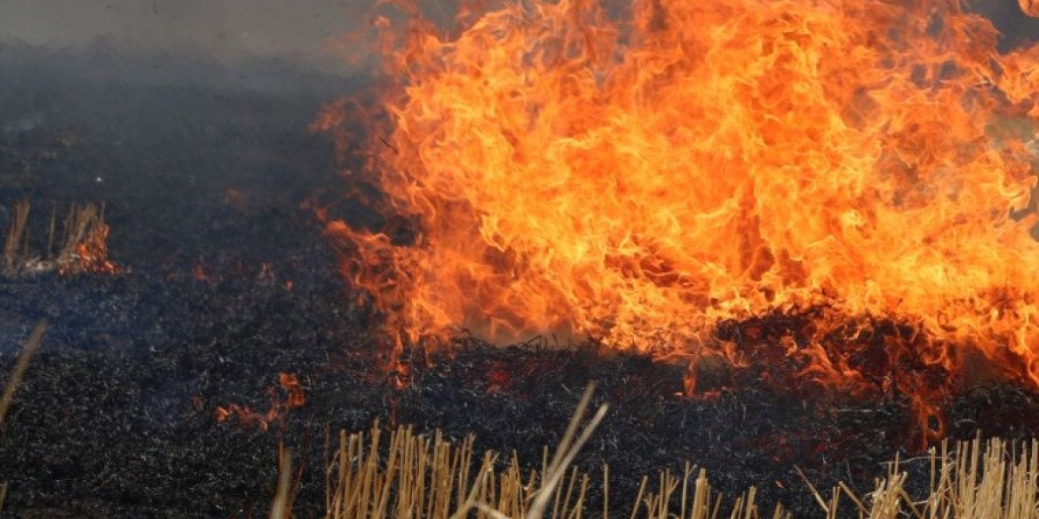 На Вінниччині вогнеборці тричі гасили пожежі в екосистемах