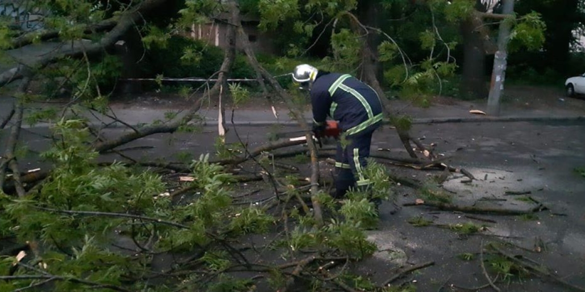 Рятувальники Вінниччини прибрали з дороги повалене дерево