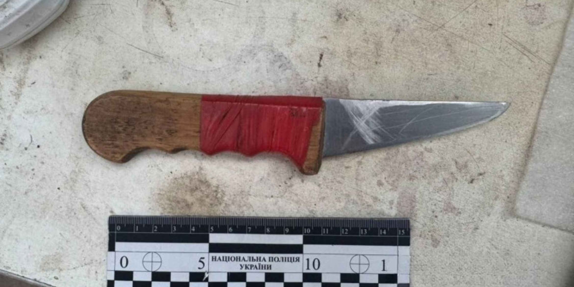 П'яний хмільничанин штрикнув гостя кухонним ножем у шию