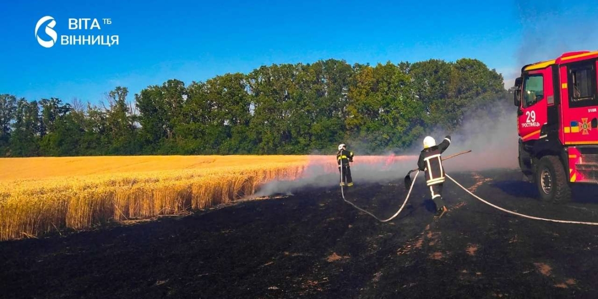 П'ять гектарів вогню на Вінниччині за добу ліквідували десять пожеж