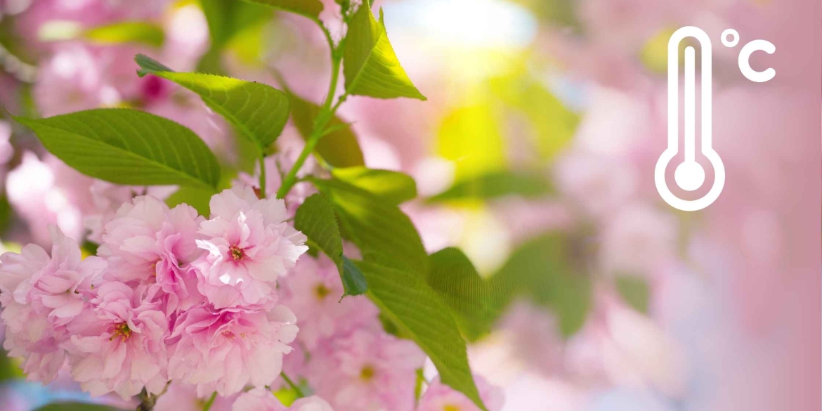 Парасольки чи сонцезахисні окуляри яка погода чекає вінничан найближчими днями