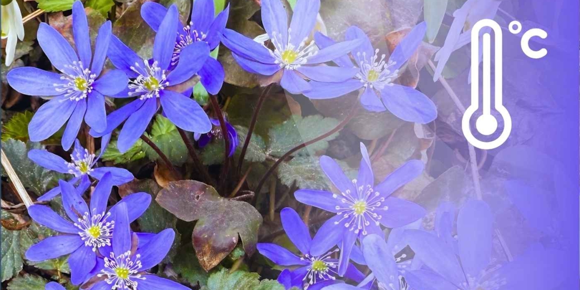 Парасольки під рукою синоптики попередили вінничан про зміну погоди 16 квітня