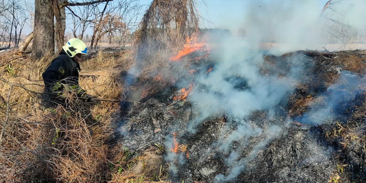 Перша жертва пожежі в екосистемі на Вінниччині – вогонь забрав життя 85-річної жінки