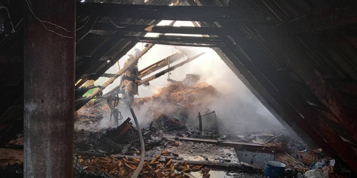 В Гайсинському районі вогонь знищив 2 тонни соломи