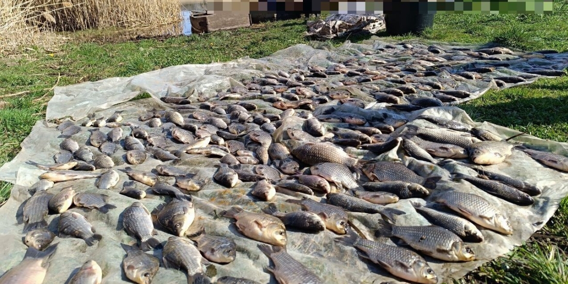 Під час нересту браконьєри на Вінниччині виловили риби на понад 1 млн грн